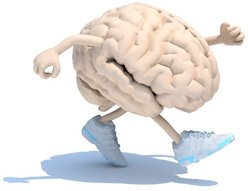 Gehirn beim Spazierengehen. Gedächnisproblemen und Konzentrationsproblemen vorbeugen.