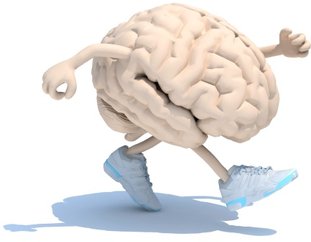 Gehirn beim Spazierengehen. Gedächnisproblemen und Konzentrationsproblemen vorbeugen.